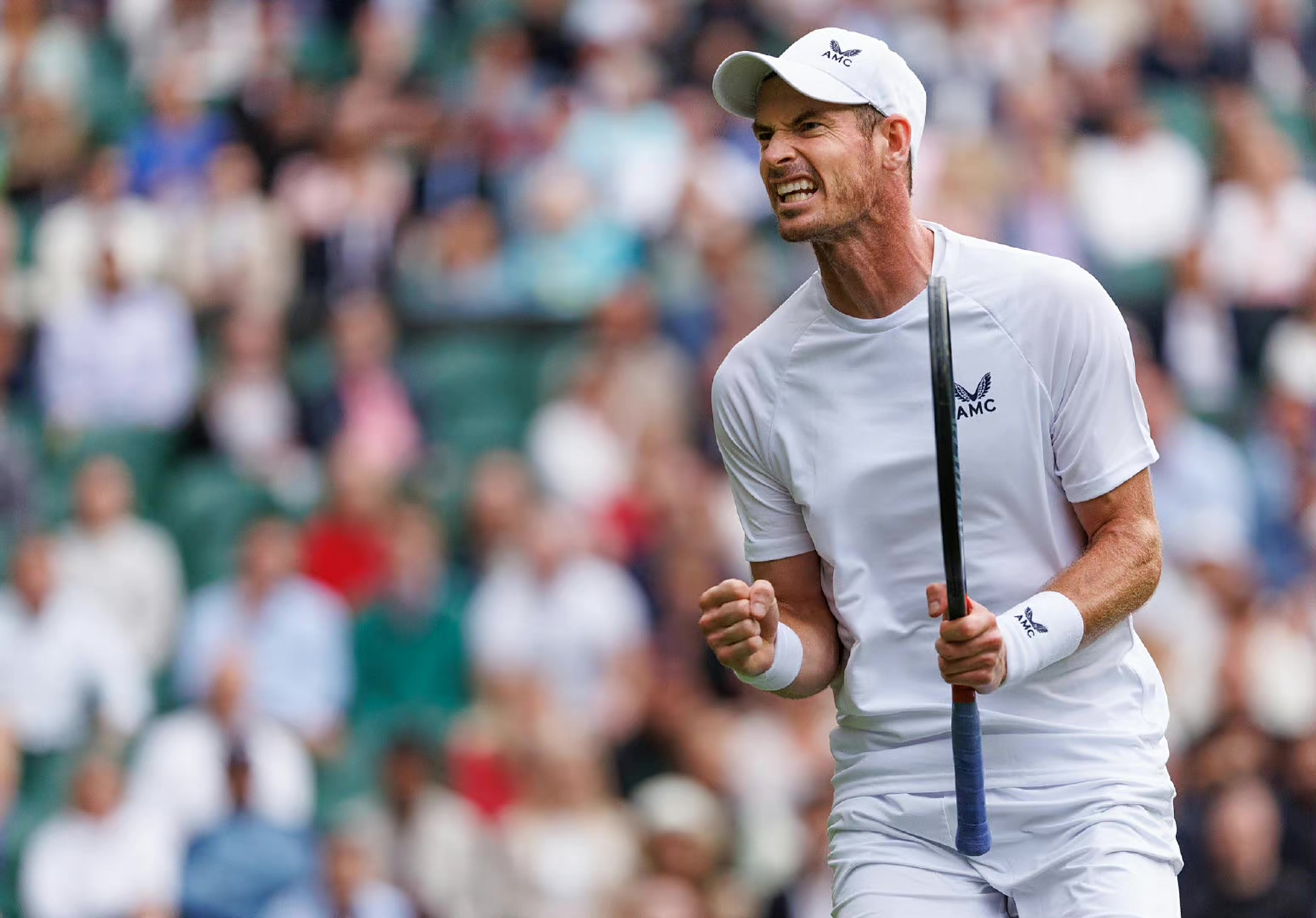 温网翻盘戴维斯杯,穆雷状态火热 温网翻盘戴维斯杯,穆雷状态火热