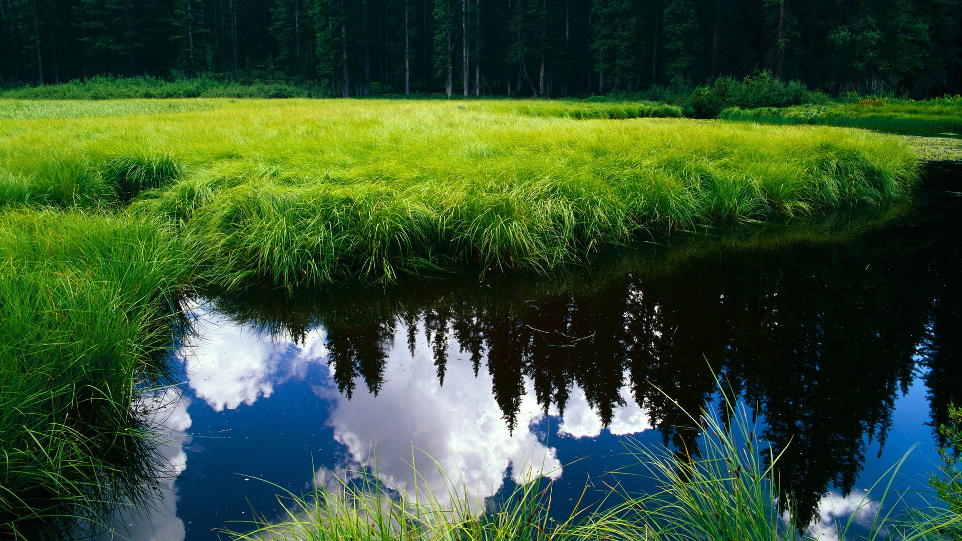 吉林队血拼热火,英格拉姆连轰得分潮引爆赛场,差距瞬间拉大!