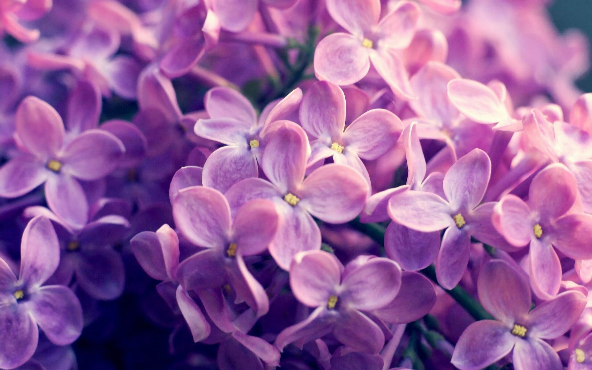 罗德里之夜,德甲争冠战的隐形主宰与战术革命